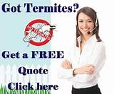 Termite Treatment Quote Images