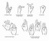 Hand Muscle Exercise Pictures