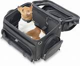 Pictures of Pet Carrier For Dogs