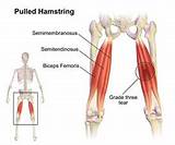 Images of Hamstring Muscle Exercises