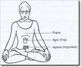 Photos of Kriya Yoga Breathing Exercises