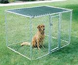 Chain Link Fence Dog Kennels For Sale