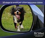 Psi Pet Sitters Insurance