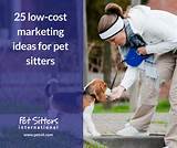 Psi Pet Sitters Insurance