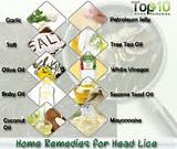Photos of Diy Home Remedies For Lice