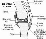 A Knee Doctor Is Called Photos