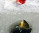 Ice Fishing Pics Images