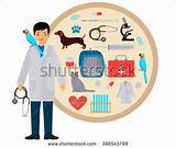 Tools Used By Veterinary Doctor Photos