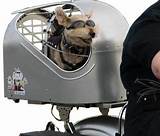 Photos of Road Hound Motorcycle Pet Carrier
