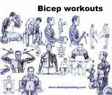 Bicep Muscle Exercises Pictures