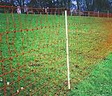 Electric Fence For Rabbits Photos