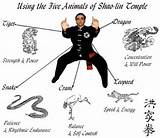 Photos of Styles Of Chinese Kung Fu