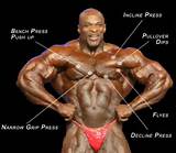 Images of Muscle Development Exercises
