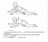 Adductor Muscle Strengthening Exercises Photos