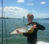 Photos of Fishing Sarasota