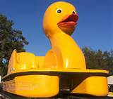 Duck Paddle Boat Images
