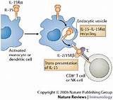 Interleukin Therapy Images