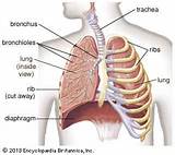 How To Clear Stomach Gas Pictures