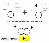 The Hydrogen Bond Photos