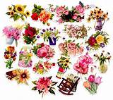 Photos of Flower Stickers For Facebook