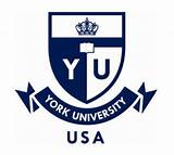 York University Jobs Images