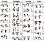 Muscle Workout Schedule Gym