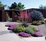 Low Water Front Yard Landscaping Ideas