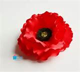 Poppy Flower Veterans Day Pictures