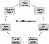 Payroll Manager Salary