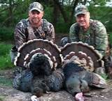 Kansas Turkey Hunting Outfitters Pictures