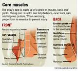Pain In Core Muscles Photos