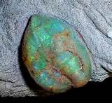 Opal Dinosaur Fossil Images