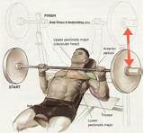 Chest Workout Tips Video Pictures