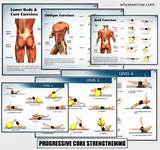 Upper Back Muscle Strengthening Exercises Photos