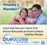 Blue Cross Blue Shield Of Tennessee Medicare Supplement Plans Pictures