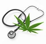 Medical Marijuana Florida Doctors