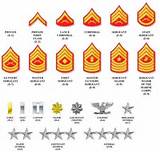 Marine Corps Enlisted Rank Insignia Images