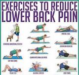 Pictures of Core Muscle Exercises For Lower Back Pain