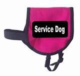 Images of Service Dog Products