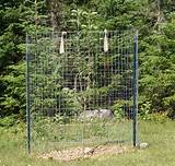 Wireless Deer Fence