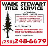 Lowest Price Tree Service Images