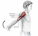 Pictures of Fitness Exercises Neck And Shoulder Stretches