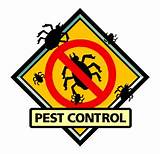 Photos of Pest Control Images