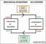 General Theory Of Evolution