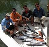 Photos of Offshore Fishing Sarasota