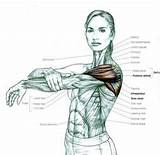 Rhomboid Muscle Strengthening