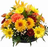 Images of Flower Delivery Specials