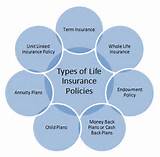 Different Types Of Life Insurance Policies In India