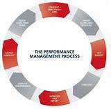 The Performance Review Cycle