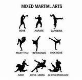 Photos of Mixed Martial Arts Types